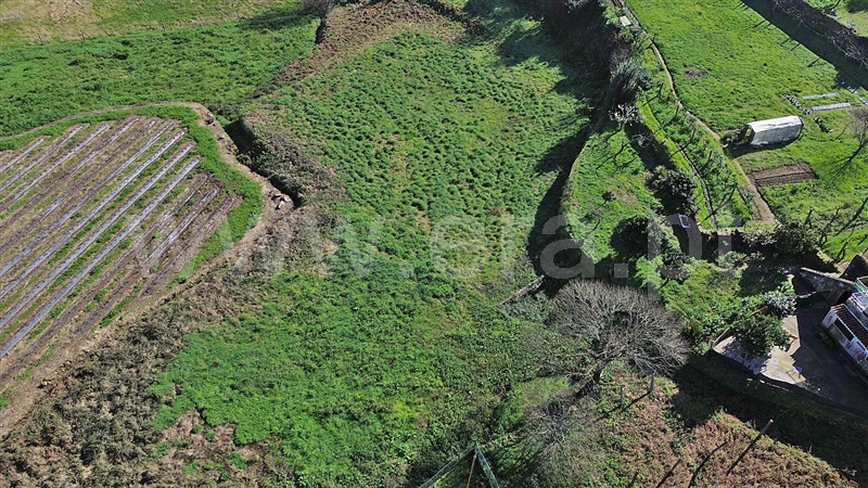 Terreno  Santo Tirso, Lamelas e Guimarei - 1386834 - 4