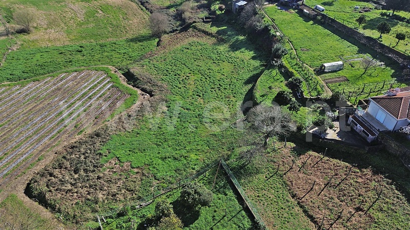 Terreno  Santo Tirso, Lamelas e Guimarei - 1386834 - 5