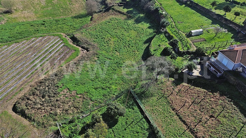 Terreno  Santo Tirso, Lamelas e Guimarei - 1386834 - 6