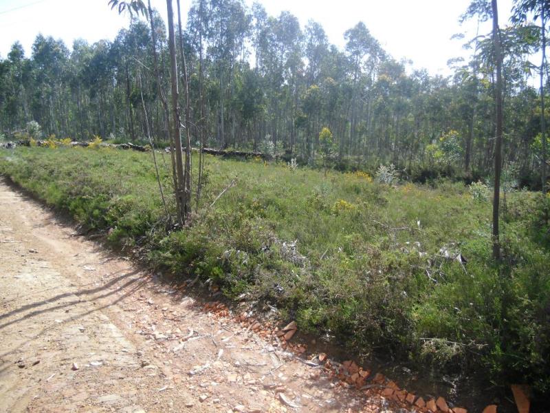 Terreno / Santo Tirso, Lamelas