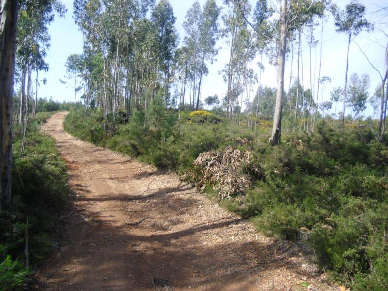 Terreno  Santo Tirso, Lamelas - 182065 - 4