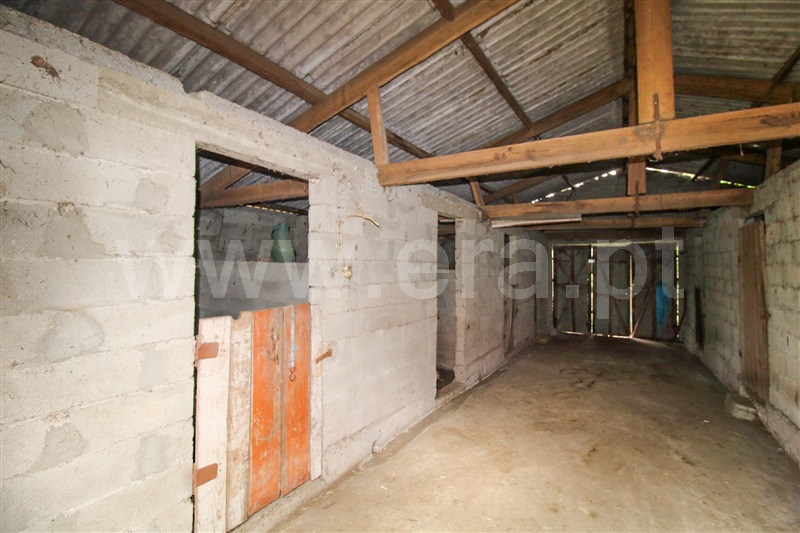 Terreno  Santo Tirso, Monte Córdova - 1485942 - 6