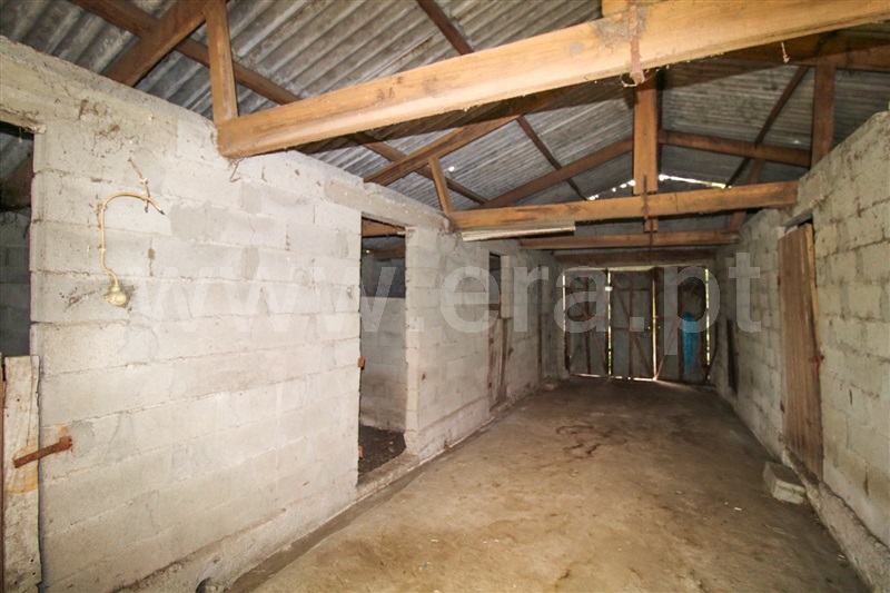 Terreno  Santo Tirso, Monte Córdova - 1485942 - 7