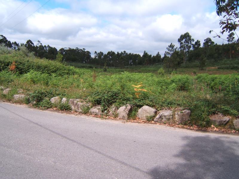 Terreno / Santo Tirso, Monte Córdova