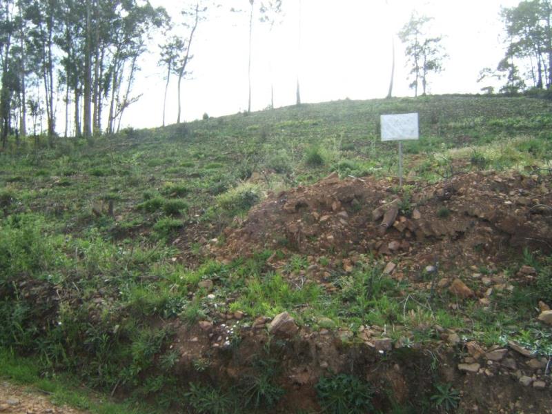 Terreno / Santo Tirso, Monte Córdova