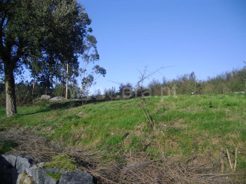 Terreno / Santo Tirso, Monte Córdova
