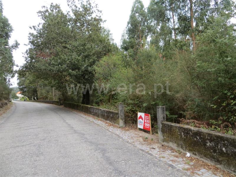 Terreno  Santo Tirso, Monte Córdova - 764913 - 2