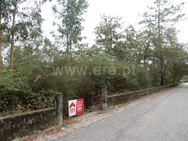 Terreno  Santo Tirso, Monte Córdova - 764913 - 3