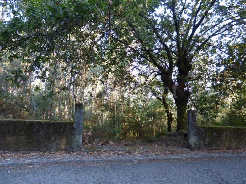 Terreno  Santo Tirso, Monte Córdova - 764913 - 4