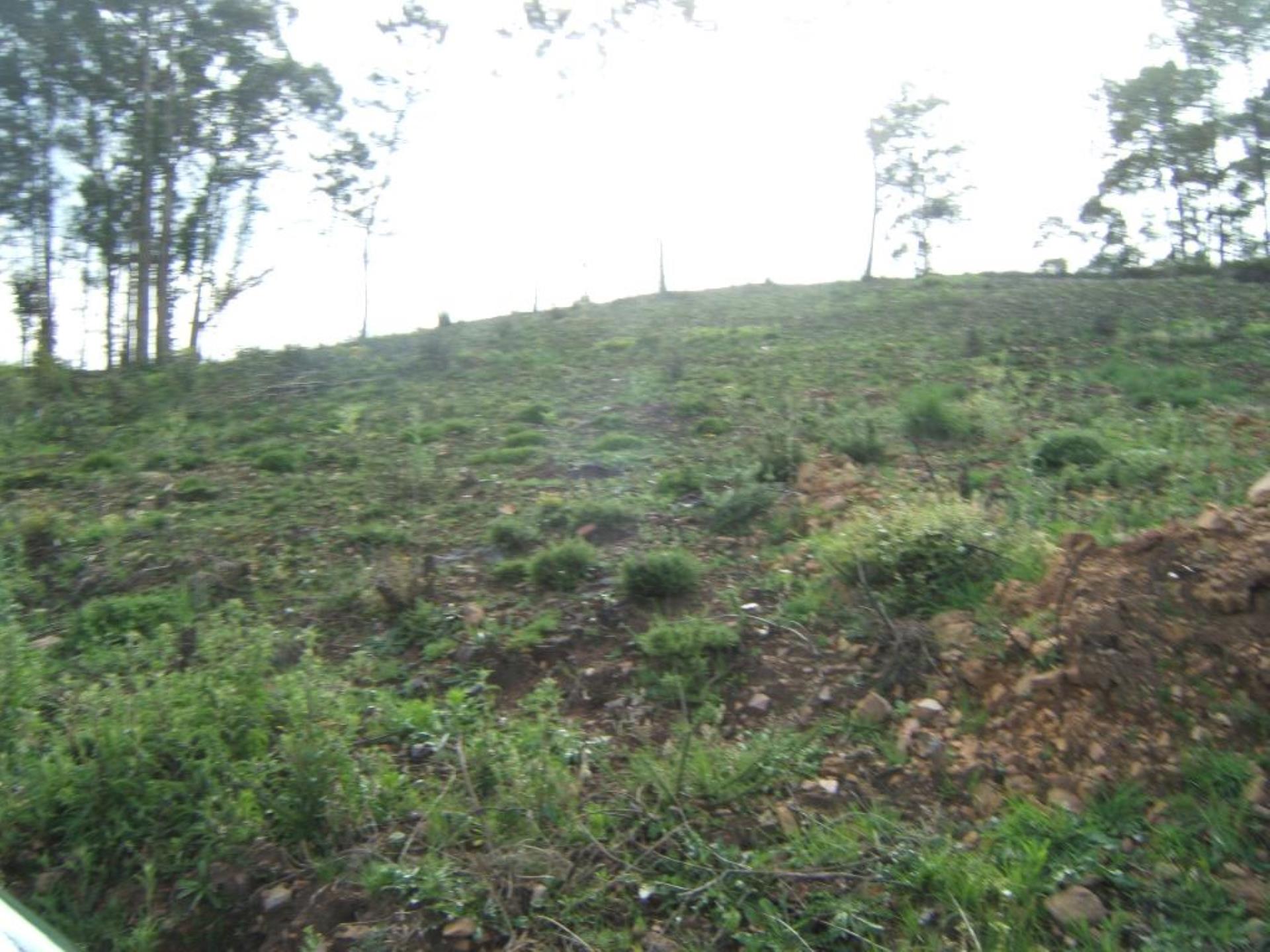 Land for sale in Santo Tirso, Portugal — €85,000