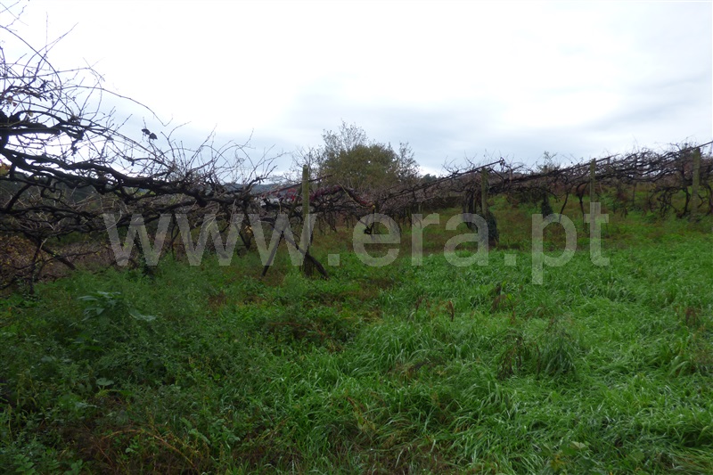 Terreno  Santo Tirso, Rebordões - 1138358 - 2
