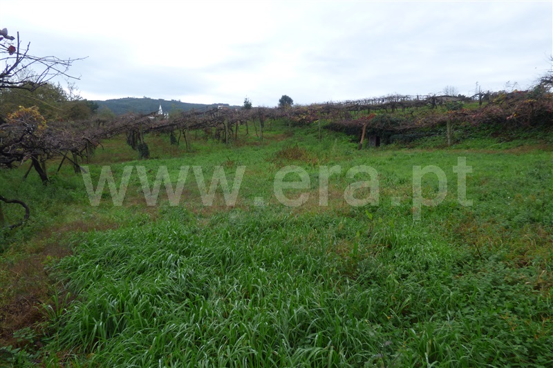 Terreno  Santo Tirso, Rebordões - 1138358 - 3