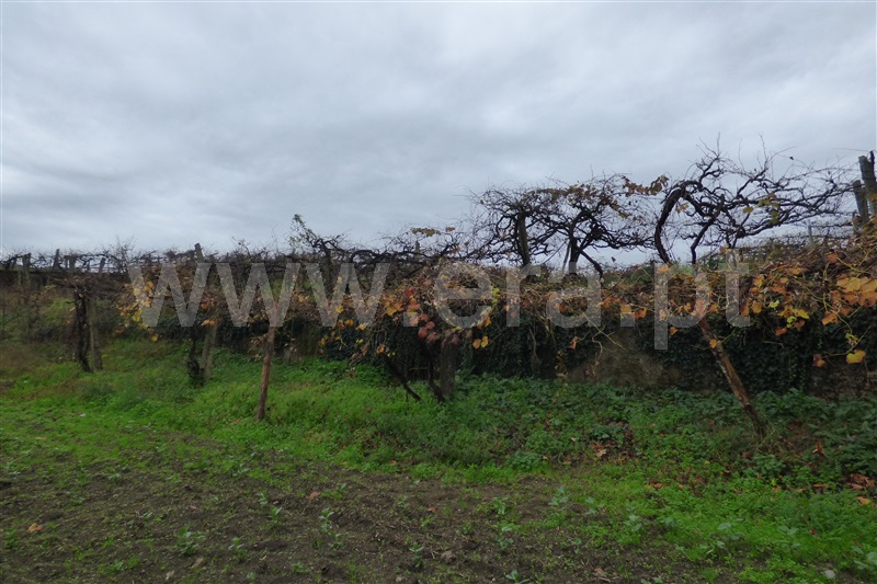 Terreno  Santo Tirso, Rebordões - 1138358 - 4