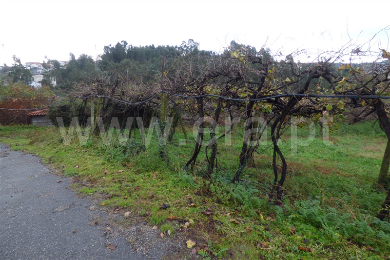 Terreno  Santo Tirso, Rebordões - 1138358 - 11