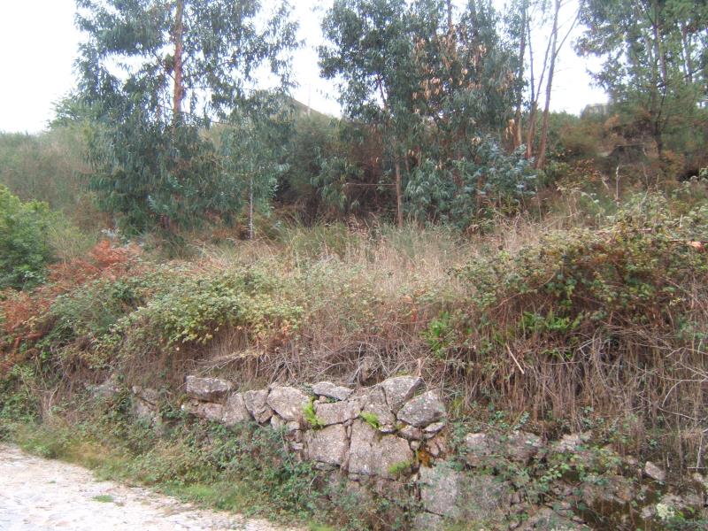 Terreno / Santo Tirso, Rebordões