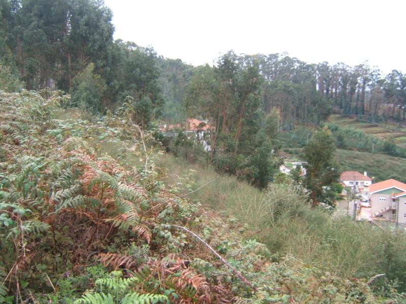 Terreno  Santo Tirso, Rebordões - 181104 - 5