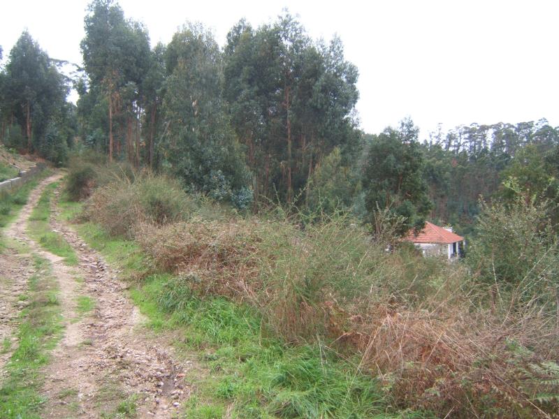 Terreno  Santo Tirso, Rebordões - 181104 - 7