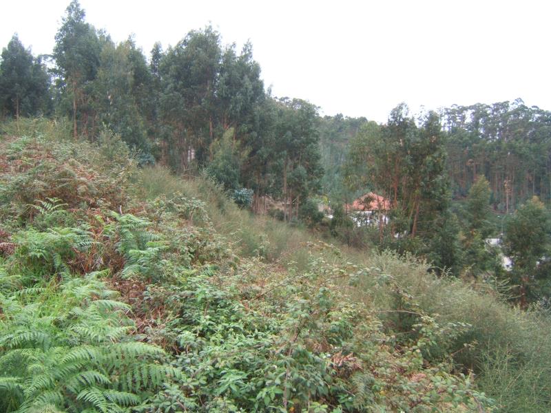 Terreno  Santo Tirso, Rebordões - 181104 - 10