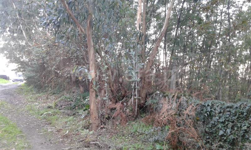 Terreno  Santo Tirso, Rebordões - 759843 - 3