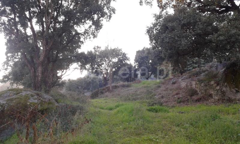 Terreno  Santo Tirso, Rebordões - 759843 - 4