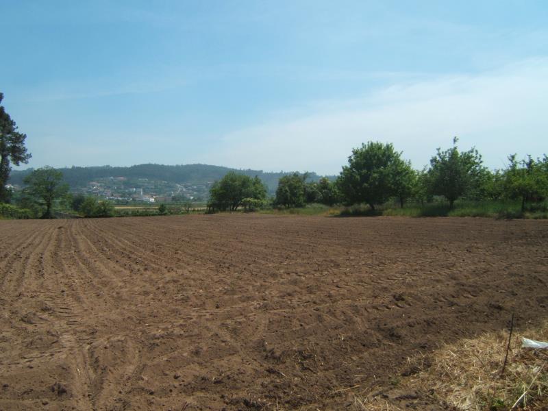 Terreno / Santo Tirso, Refojos