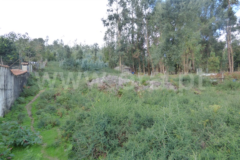 Terreno  Santo Tirso, Roriz - 1128391 - 6