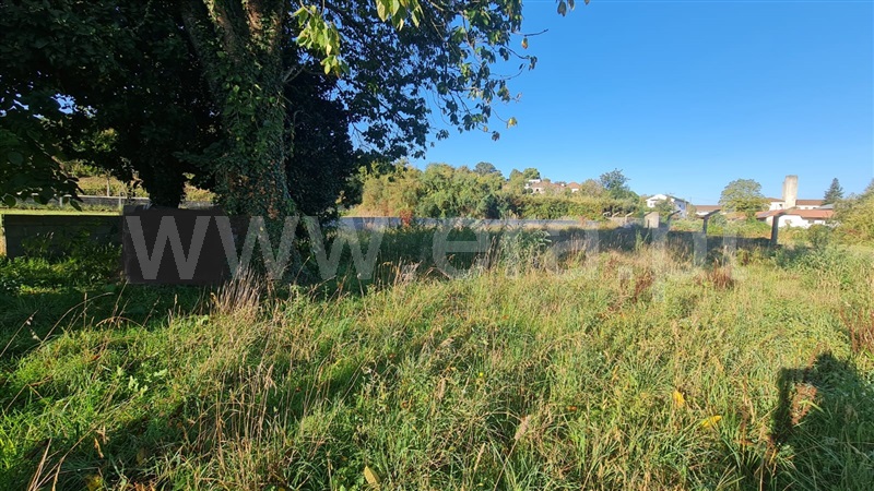 Terreno / Santo Tirso, Roriz