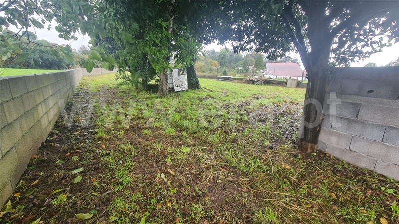 Terreno  Santo Tirso, Roriz - 1358986 - 6