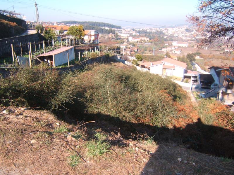 Terreno / Santo Tirso, Roriz