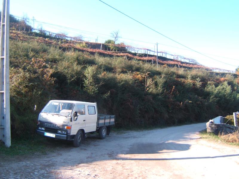 Terreno / Santo Tirso, Roriz