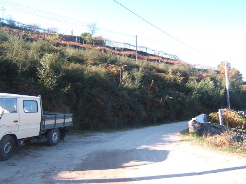 Terreno  Santo Tirso, Roriz - 181349 - 3