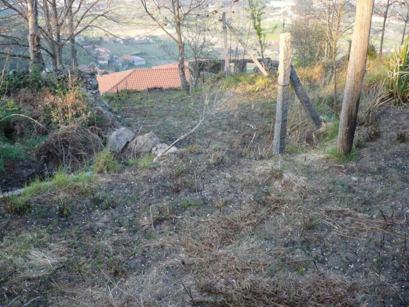 Terreno / Santo Tirso, Roriz