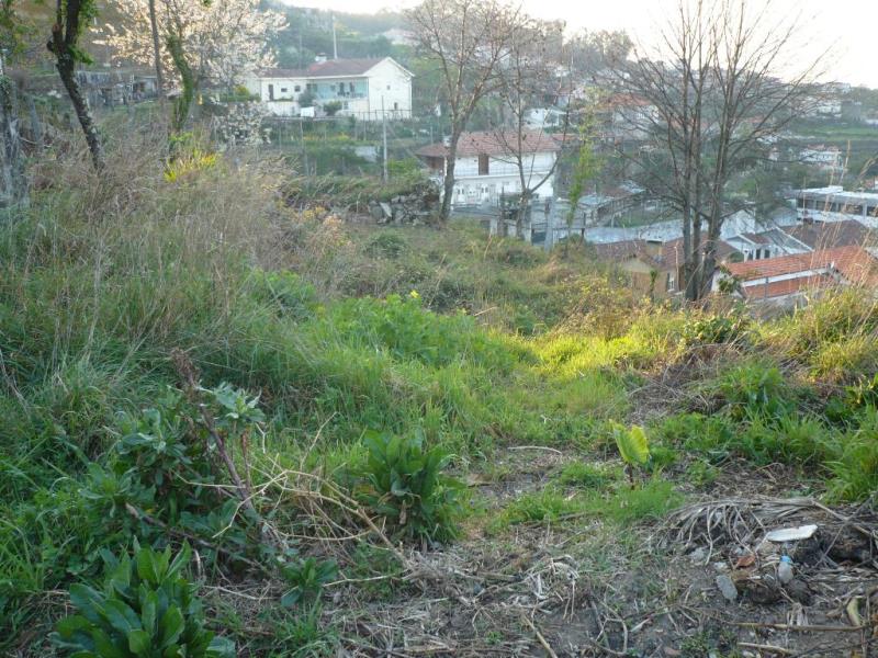 Terreno  Santo Tirso, Roriz - 181630 - 3