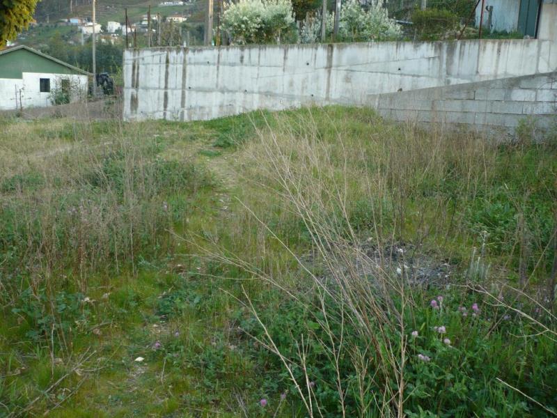 Terreno  Santo Tirso, Roriz - 181630 - 5