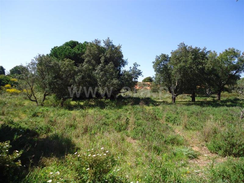 Terreno  Santo Tirso, Roriz - 488333 - 2