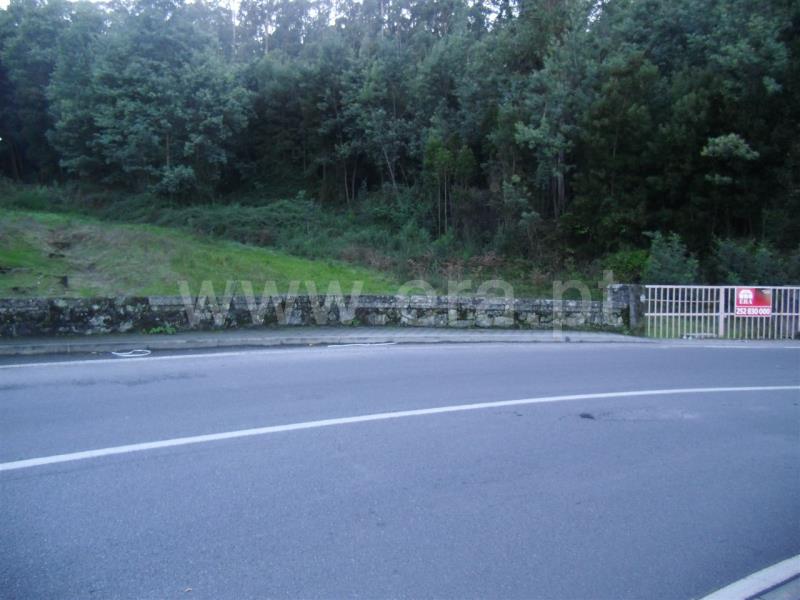 Terreno / Santo Tirso, Roriz