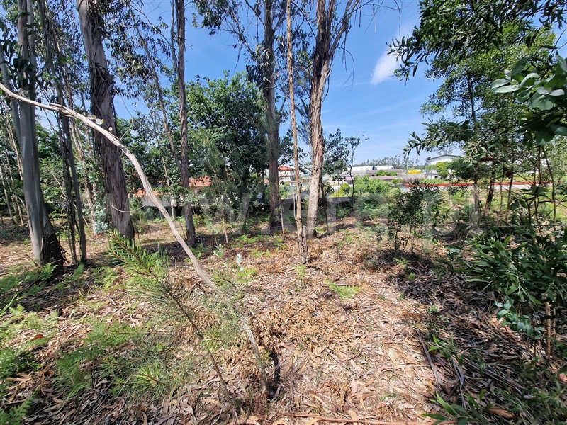 Terreno  Santo Tirso, Santo Tirso, Couto (Santa Cristina e São Miguel) e Burgães - 1329374 - 3