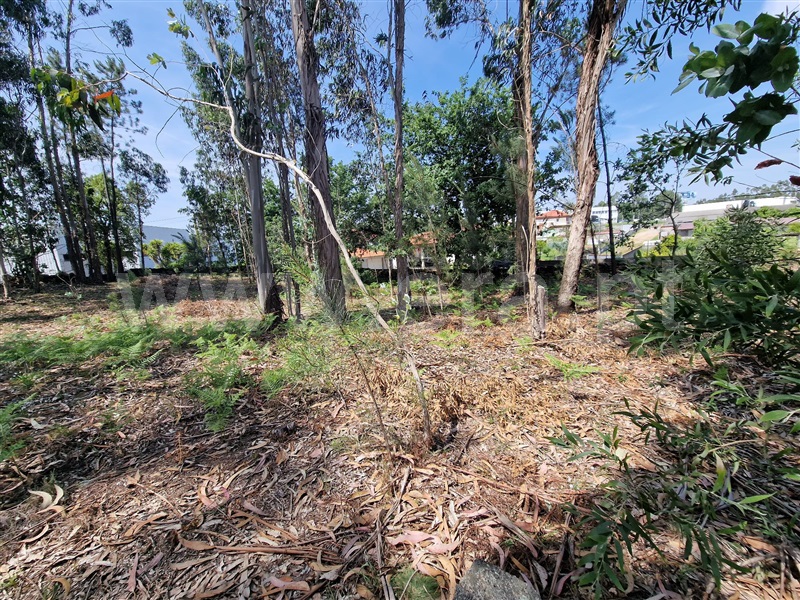 Terreno  Santo Tirso, Santo Tirso, Couto (Santa Cristina e São Miguel) e Burgães - 1329374 - 4