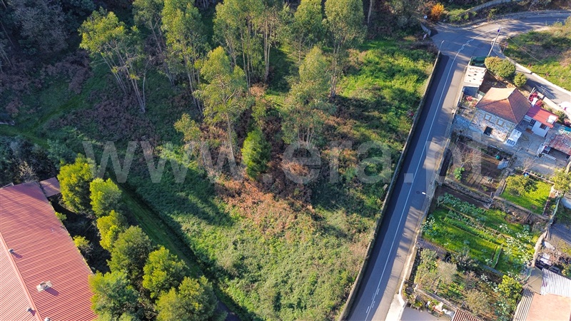 Terreno / Santo Tirso, Santo Tirso, Couto (Santa Cristina e São Miguel) e Burgães