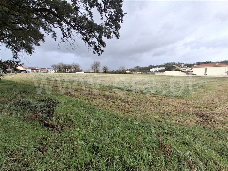 Terreno / Santo Tirso, Santo Tirso, Couto (Santa Cristina e São Miguel) e Burgães