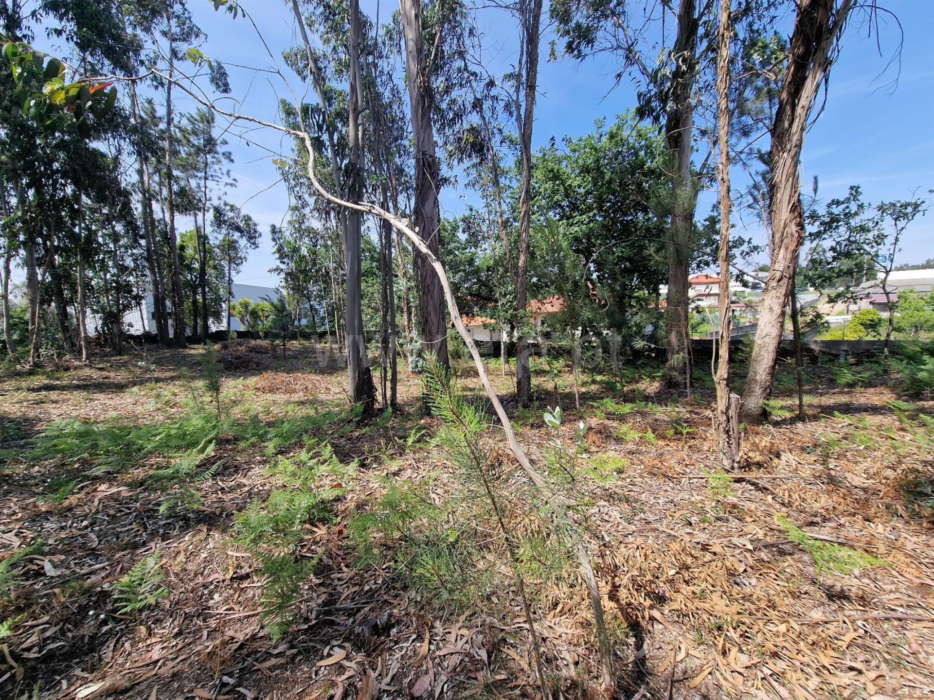 Land for sale in Santo Tirso, Portugal — €65,000