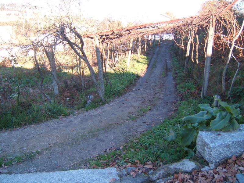 Terreno  Santo Tirso, São Martinho Campo - 180854 - 2