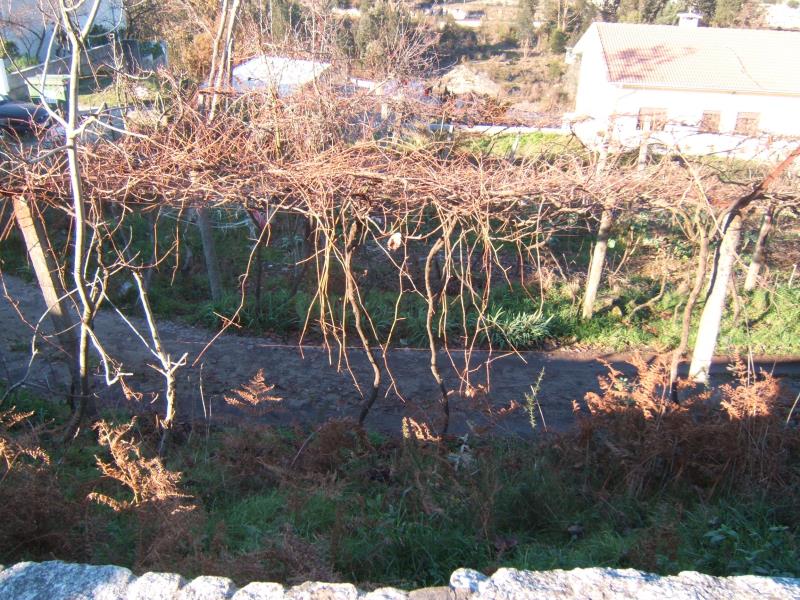 Terreno  Santo Tirso, São Martinho Campo - 180854 - 5