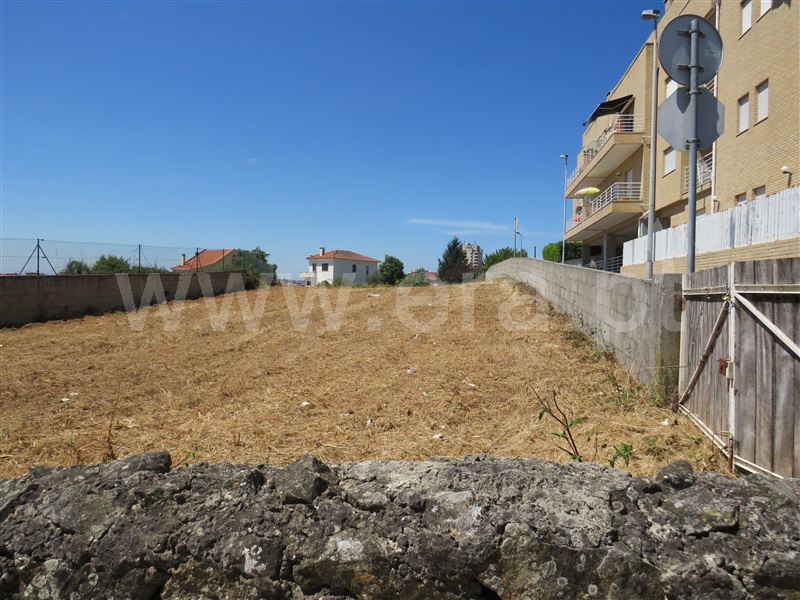 Terreno / São João da Madeira, SJM 3