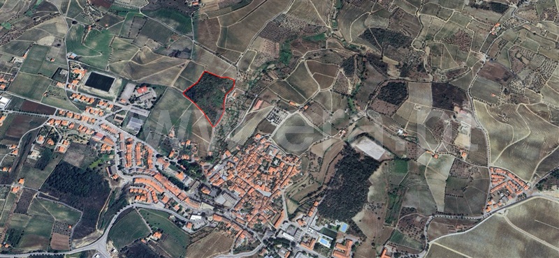 Terreno / São João da Pesqueira, São João da Pesqueira e Várzea de Trevões