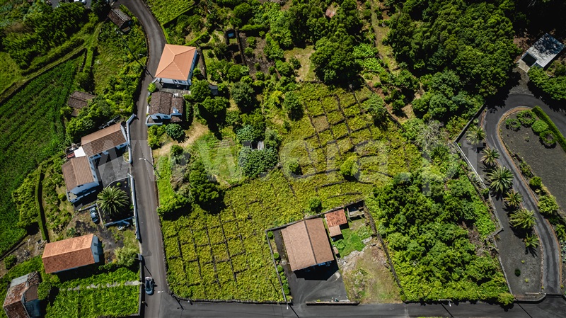 Terreno  São Roque do Pico, Prainha - 1343985 - 2