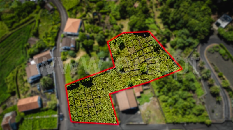 Terreno / São Roque do Pico, Prainha