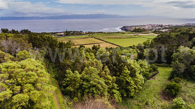 Terreno / São Roque do Pico, Santo António