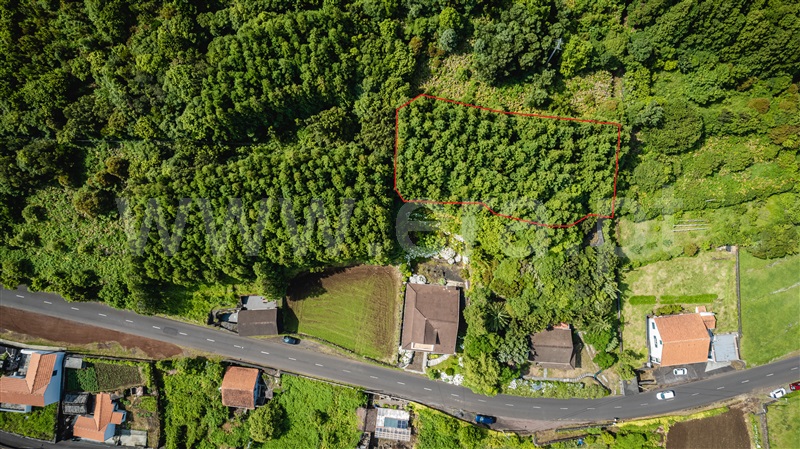 Terreno / São Roque do Pico, São Roque do Pico