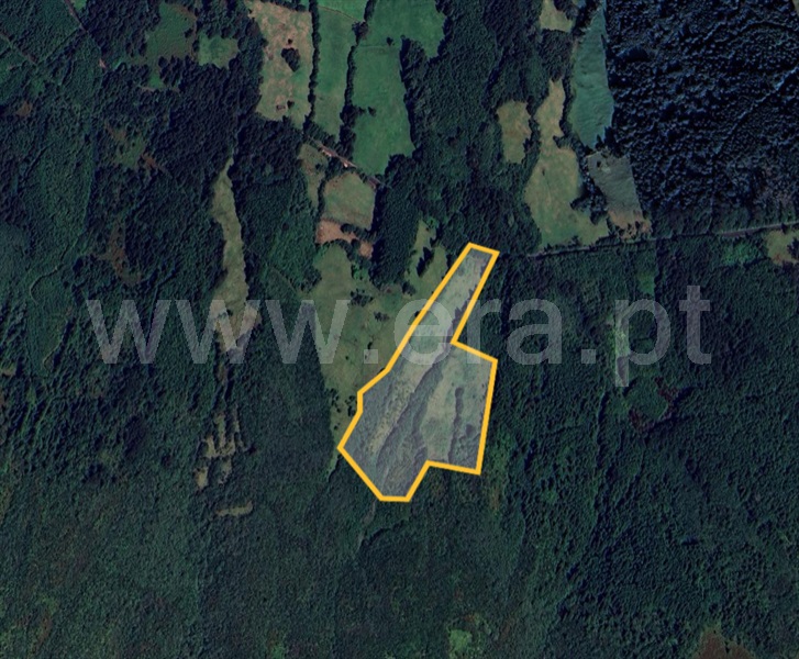 Terreno / São Roque do Pico, São Roque do Pico